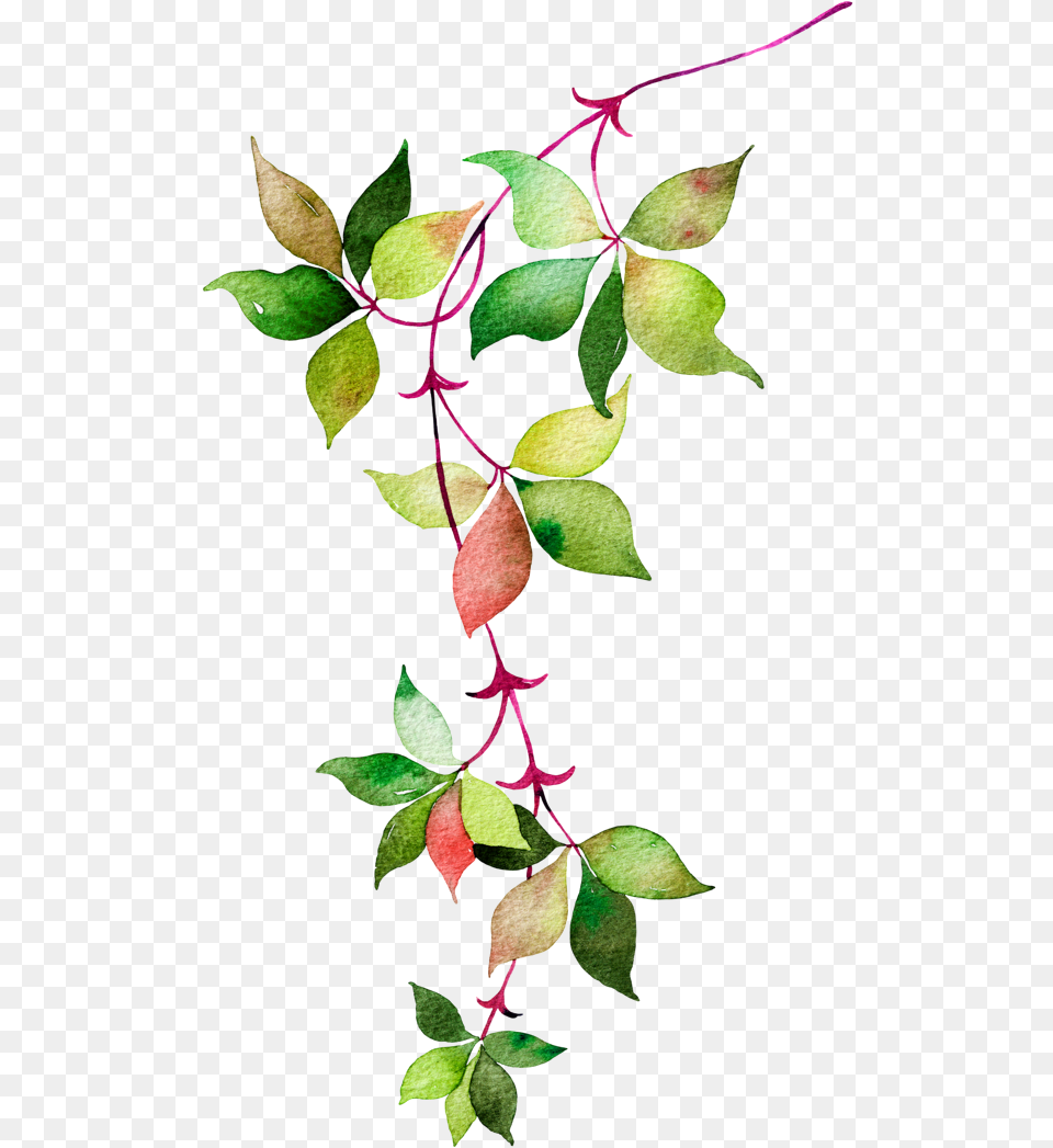 Flower Euclidean Icon Watercolor Leaves Watercolor Leaves And Flowers, Leaf, Plant, Vine, Acanthaceae Png Image