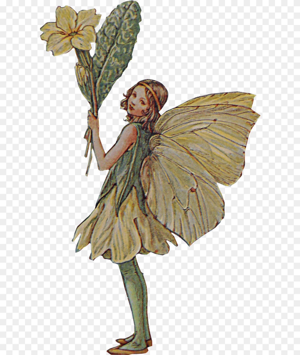 Flower Fairies Pixie Fairy Pictures To Print, Adult, Female, Person, Woman Free Png
