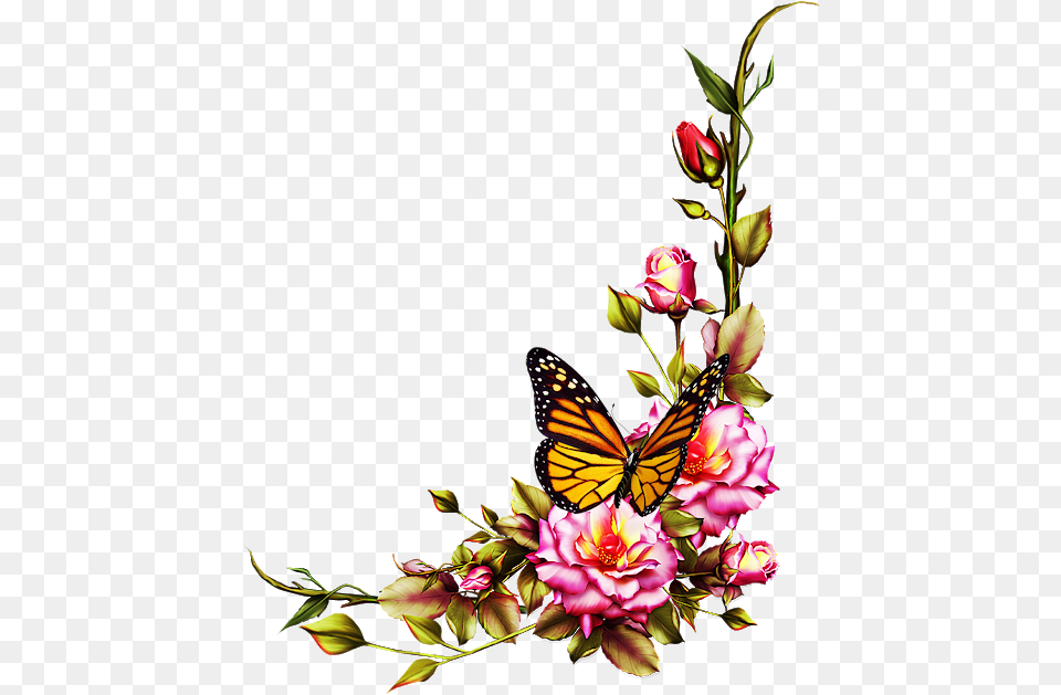 Flower File Frame Flowers And Borders, Petal, Plant, Animal, Butterfly Free Transparent Png