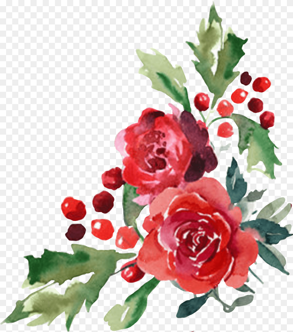 Flower Flor Flores Cornerdesign Red Watercolor Flowers, Rose, Plant, Graphics, Art Png Image