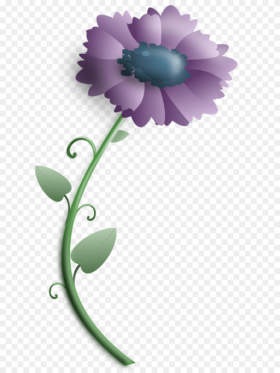 Flower Flor Lila En, Anemone, Plant, Daisy, Dahlia Free Png