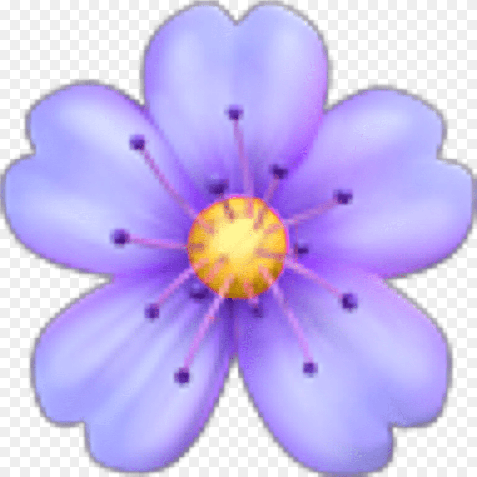 Flower Flor Violet Violeta Emoji Flower Emoji Transparent Background, Anemone, Anther, Petal, Plant Free Png