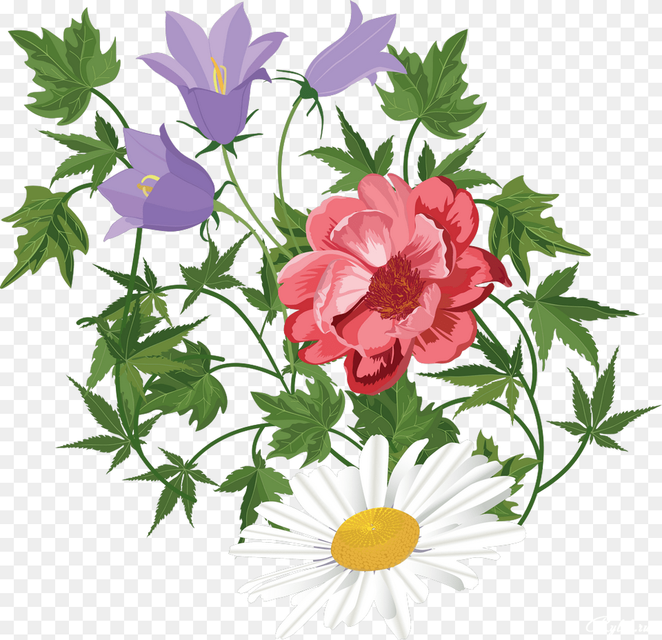 Flower Floral Design Clip Art Transprent Transparent Background Flowers Clipart, Plant, Daisy, Anemone, Herbs Png