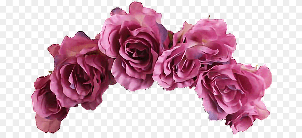 Flower Flowercrown Crown Aesthetic Aesthetic Flower Crown, Flower Arrangement, Plant, Rose, Flower Bouquet Png