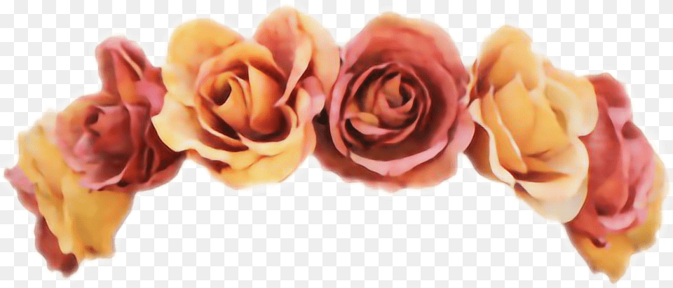 Flower Flowercrown Orange Crown Red Oprah Yellow Orange Flower Crown, Petal, Plant, Rose Free Png Download