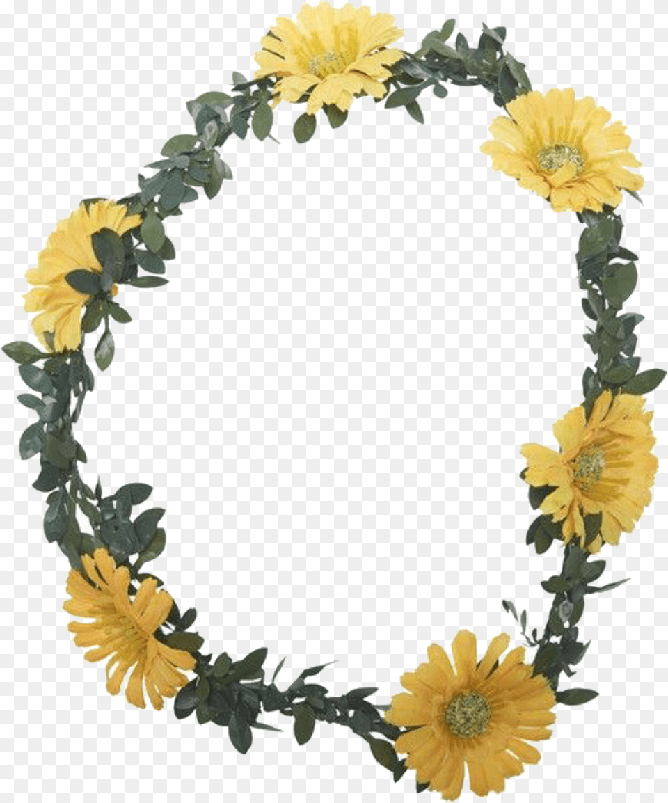 Flower Flowers And Overlay Image Sunflower, Flower Arrangement, Plant, Accessories Png