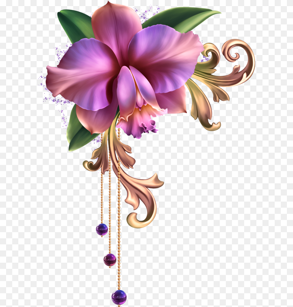Flower Flowers Decoration Border Borders Terrieasterly Orchid Flower Frame, Accessories, Art, Floral Design, Graphics Png Image