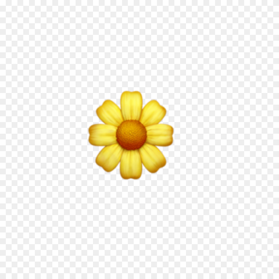 Flower Flowers Emoji Emojis Tumblr, Anemone, Daisy, Petal, Plant Png