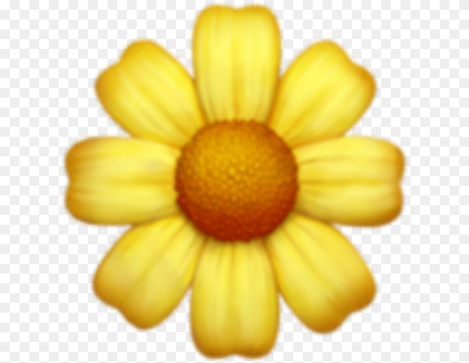 Flower Flowers Emoji Emojis Tumblr Sticker Iphone Flower Emoji, Daisy, Petal, Plant, Anemone Free Transparent Png