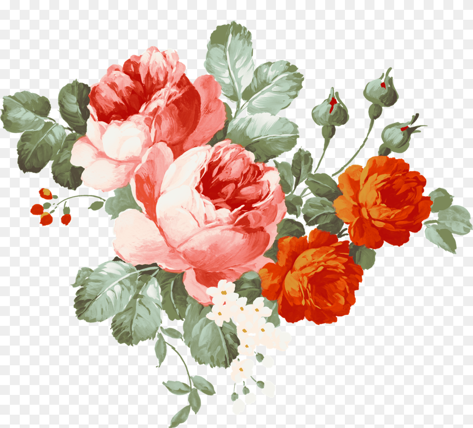 Flower Flowers Flor Flores Edit Background Flowers, Plant, Rose, Carnation, Pattern Free Transparent Png