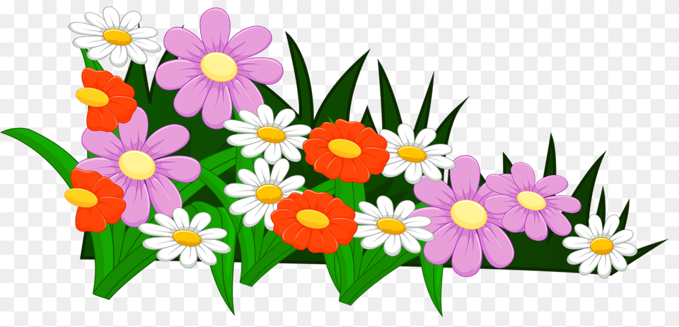 Flower Flowers Flower Clipart And Clip Art, Daisy, Floral Design, Graphics, Pattern Free Transparent Png