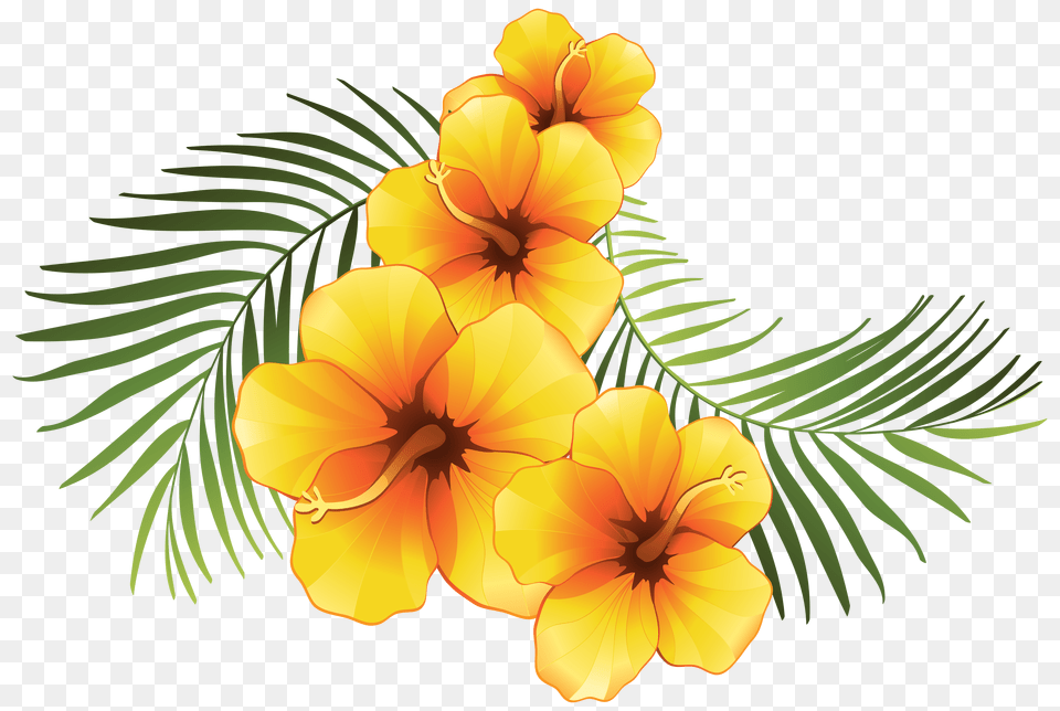 Flower Flowers Orang Caribbean Summer Beach Love Freeto, Art, Floral Design, Graphics, Pattern Png
