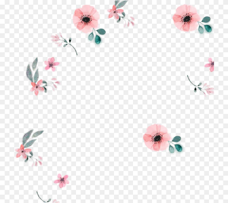 Flower Flowers Pastel Watercolor Floral Wallpaper Gerbera, Petal, Plant, Anemone, Cherry Blossom Png Image