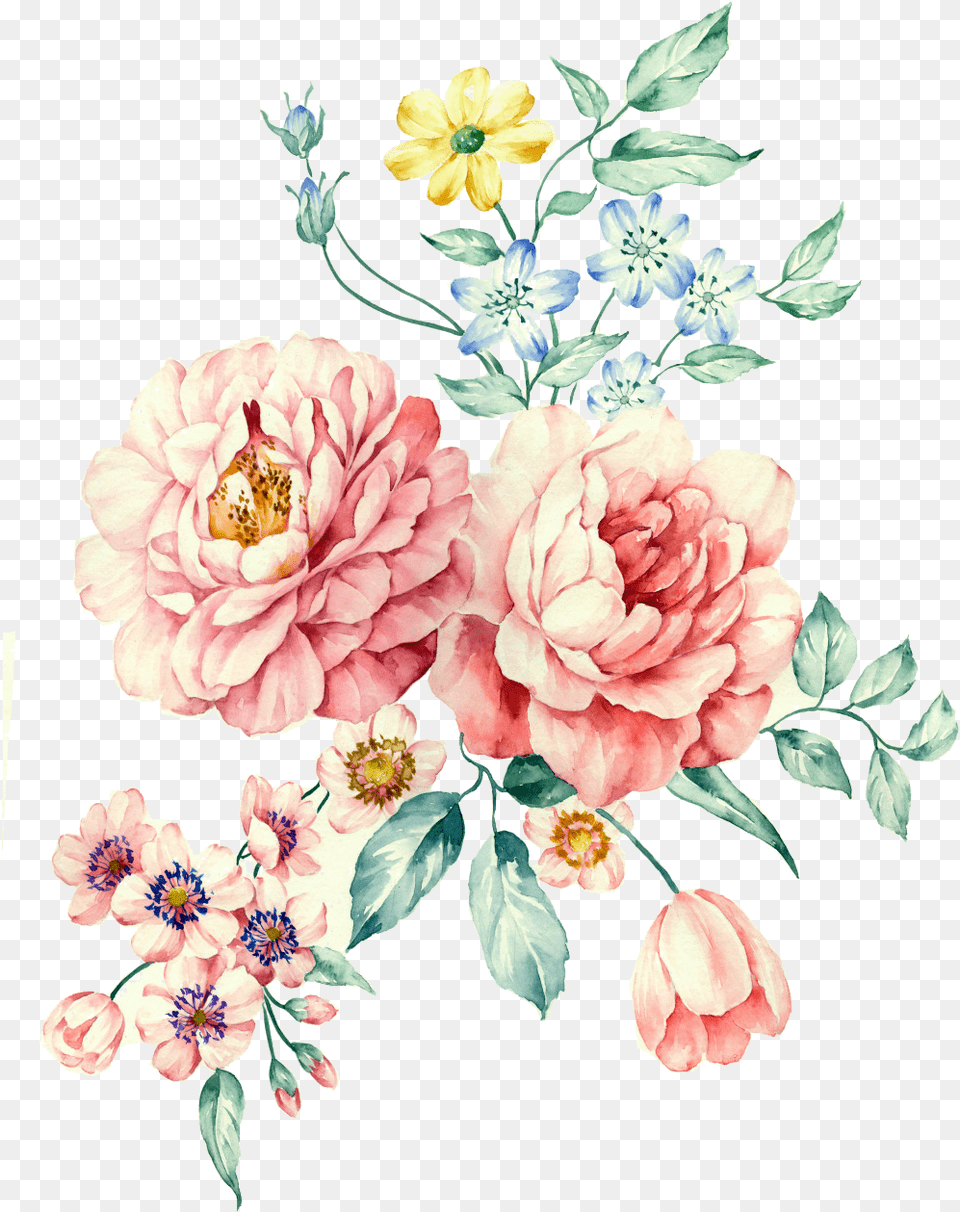 Flower Flowers Peony Peonia Color Pastel Watercolor Peony, Dahlia, Plant, Pattern, Art Free Transparent Png