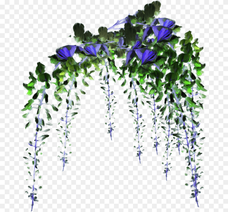 Flower Flowers Vine Vines Decoration Terrieasterly, Plant, Purple Png