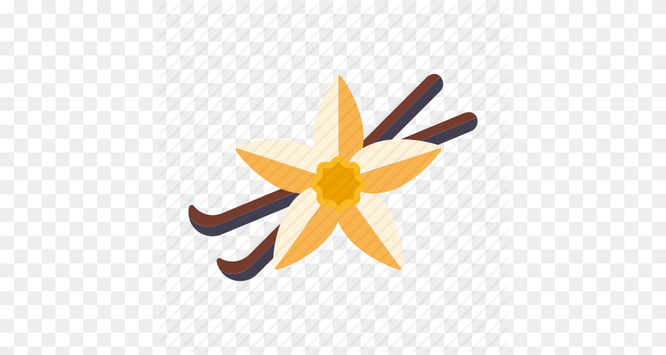 Flower Food Ingredients Pod Seasoning Spices Vanilla Icon, Daffodil, Plant, Aircraft, Airplane Free Png