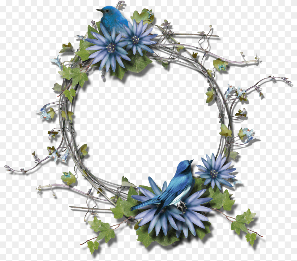 Flower Frame, Animal, Bird, Jay, Plant Free Transparent Png