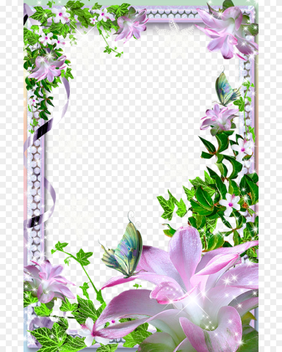 Flower Frame, Plant, Leaf, Art, Collage Free Transparent Png