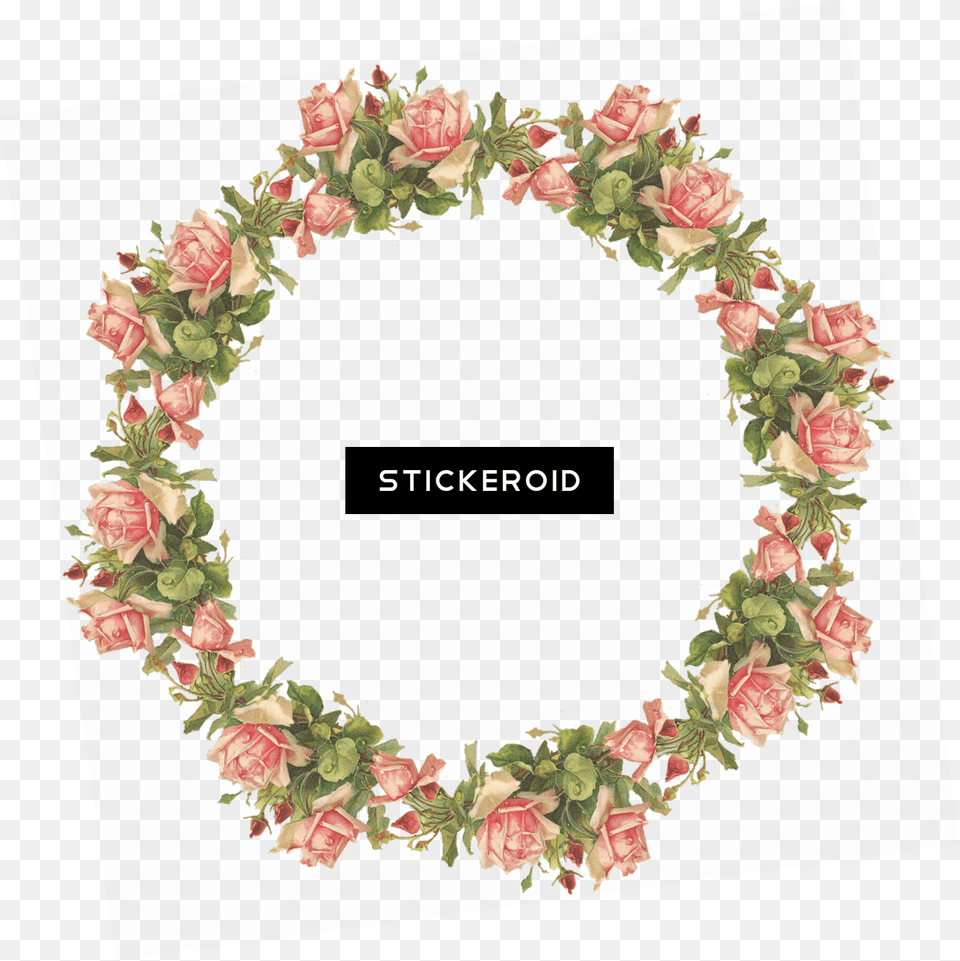 Flower Frame Background Flower Photo Frame, Wreath, Plant, Rose, Flower Arrangement Png