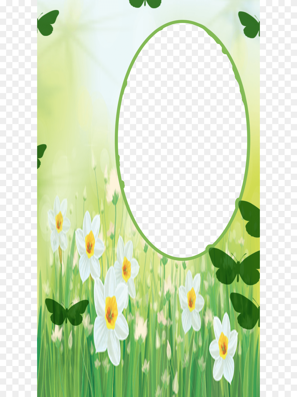 Flower Frame Flower, Anemone, Plant, Green, Daisy Free Png Download