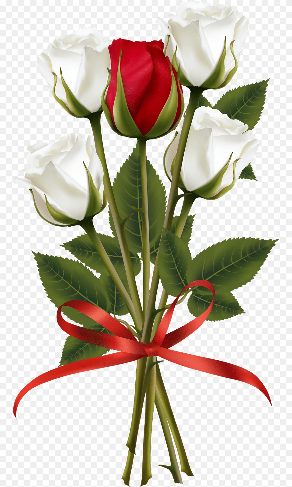 Flower Frame Flower Art White Roses Red Roses Red Red And White Rose Clipart, Flower Arrangement, Flower Bouquet, Plant Png