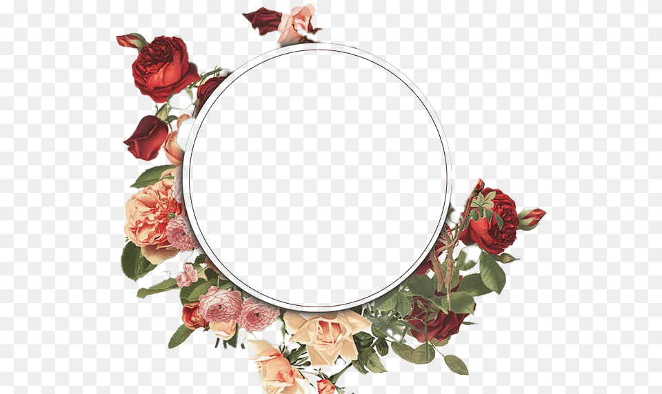 Flower Frame Images All Background Flower Frame, Rose, Plant, Accessories, Person Free Png Download
