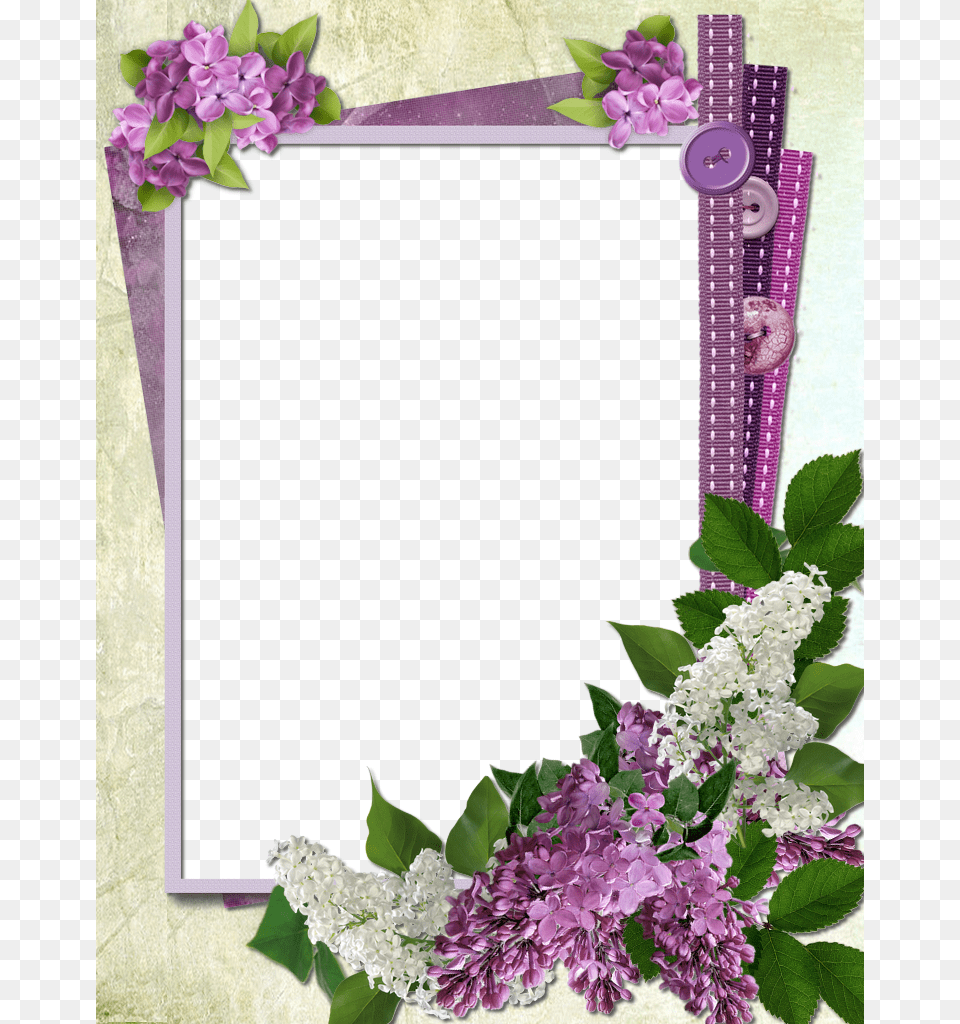 Flower Frame My Spring Stationary Frames Background Picture Frame, Plant, Lilac Png Image