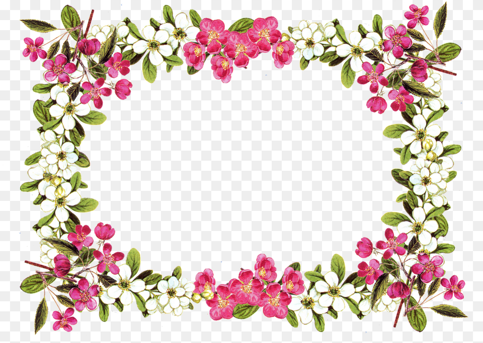 Flower Frame Transparent Background, Art, Floral Design, Graphics, Pattern Png Image