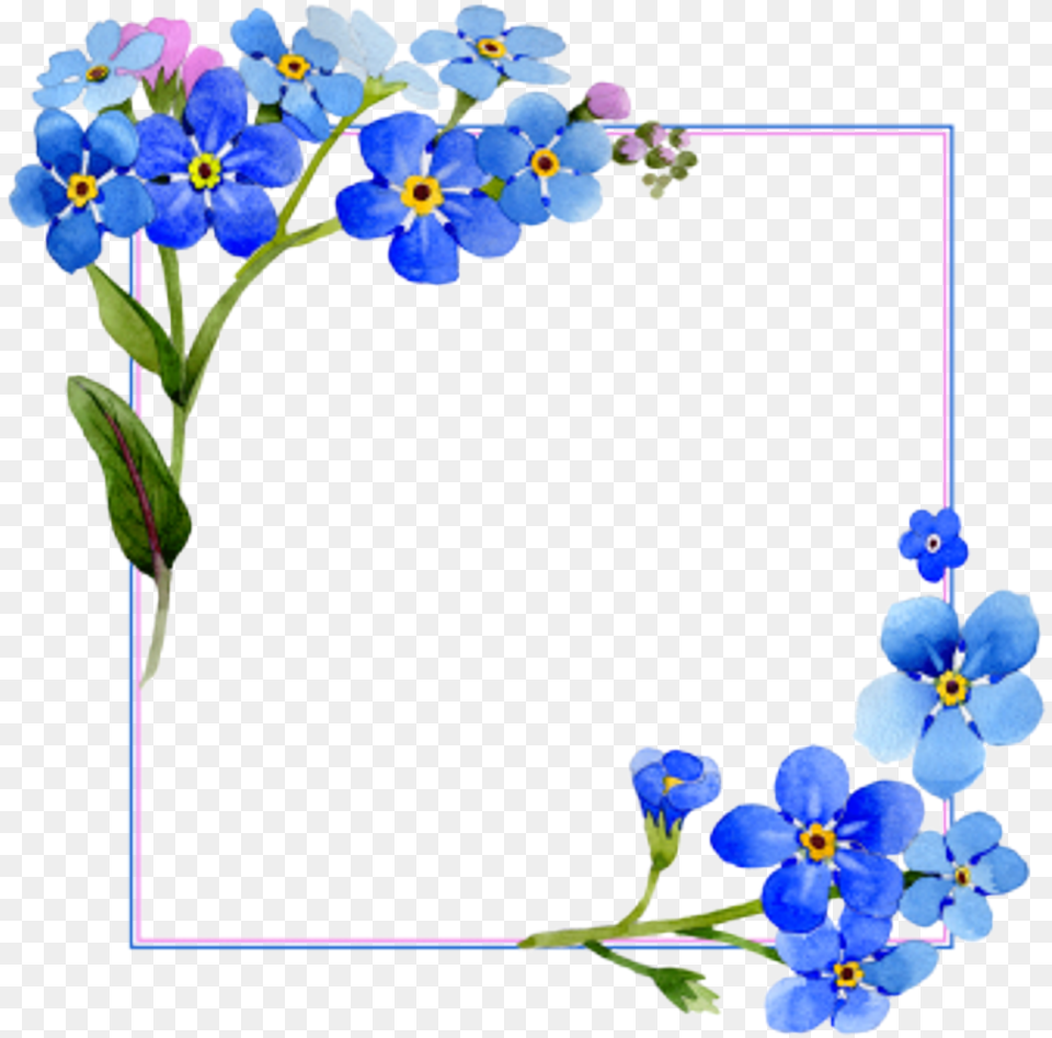 Flower Frame Transparent Images Frame Blue Flower Border, Anemone, Geranium, Plant, Petal Free Png