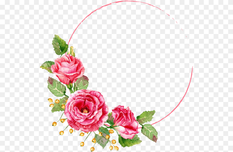 Flower Frame Vector, Plant, Rose, Flower Arrangement, Art Free Png