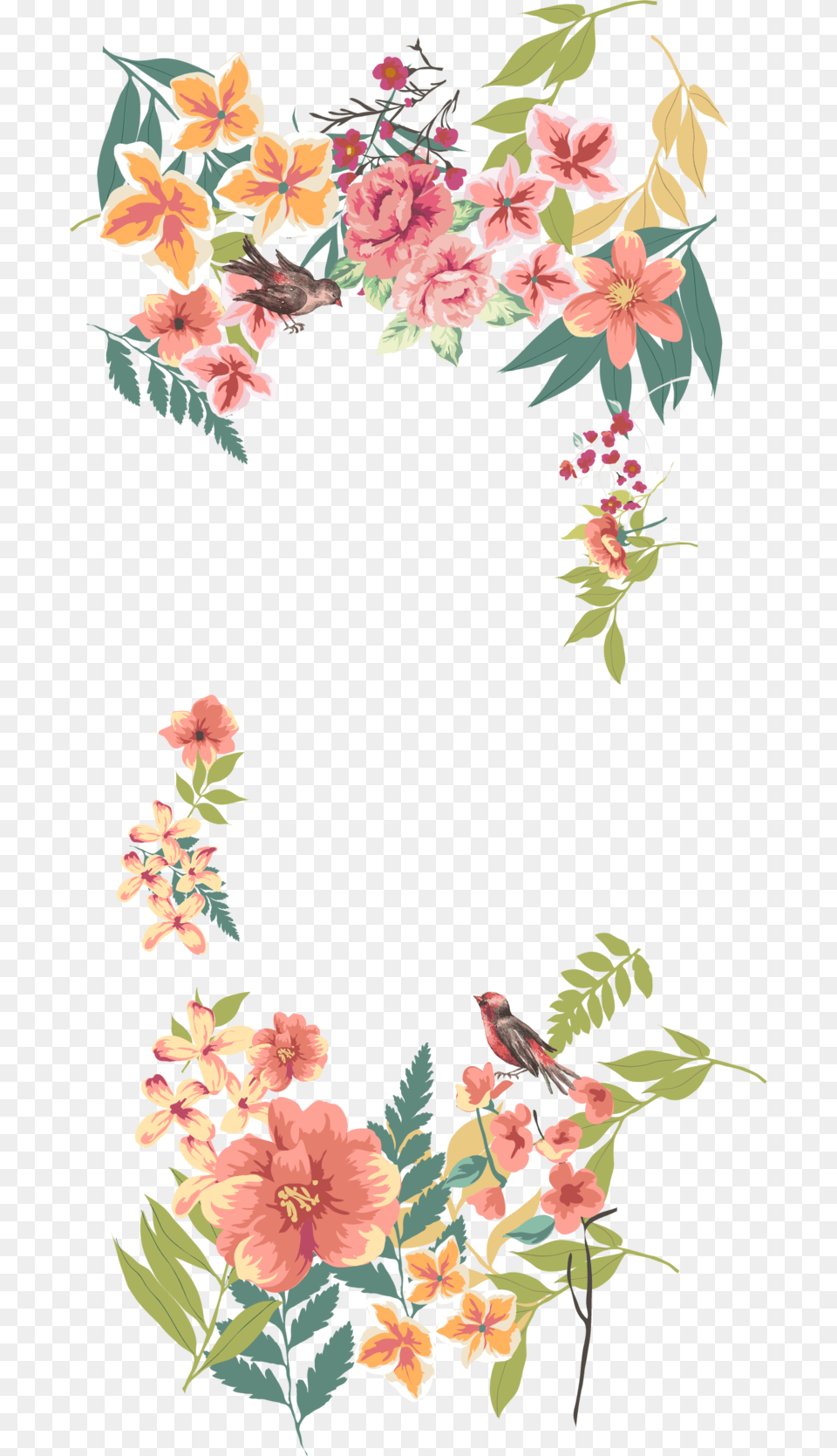 Flower Frame Vector, Graphics, Art, Floral Design, Pattern Free Transparent Png