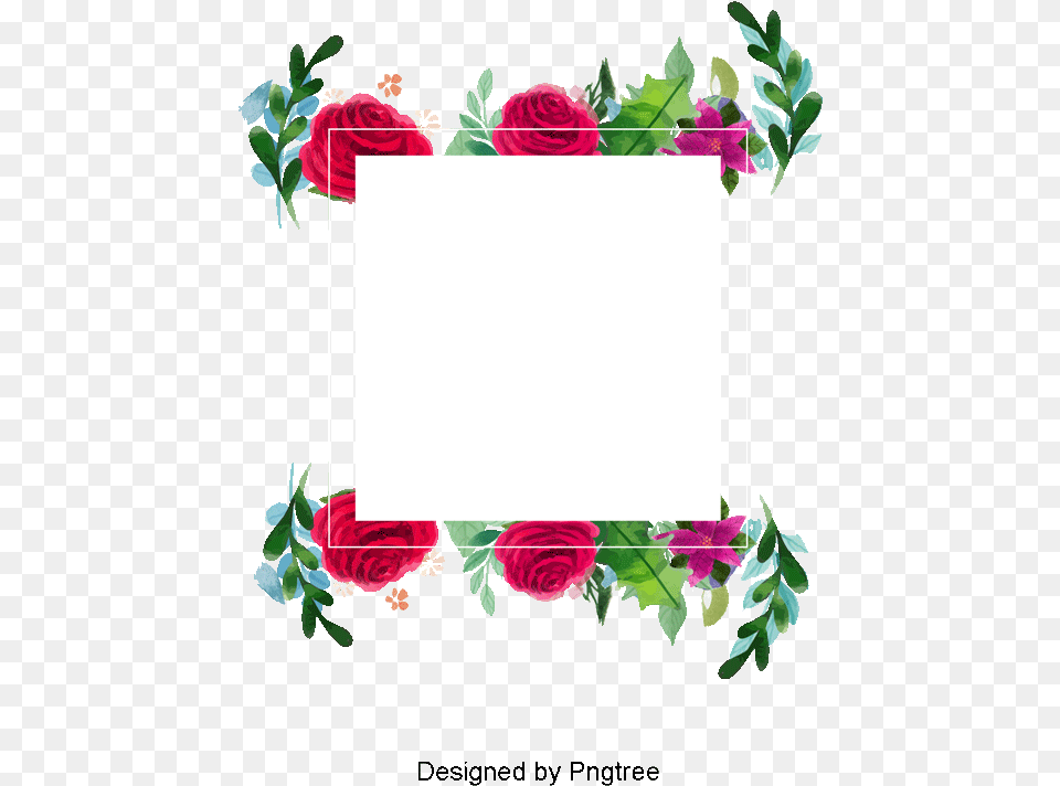 Flower Frame Vector Watercolor And Psd Akvarelnie Cveti Ramka, Plant, Rose, Art, Floral Design Free Png