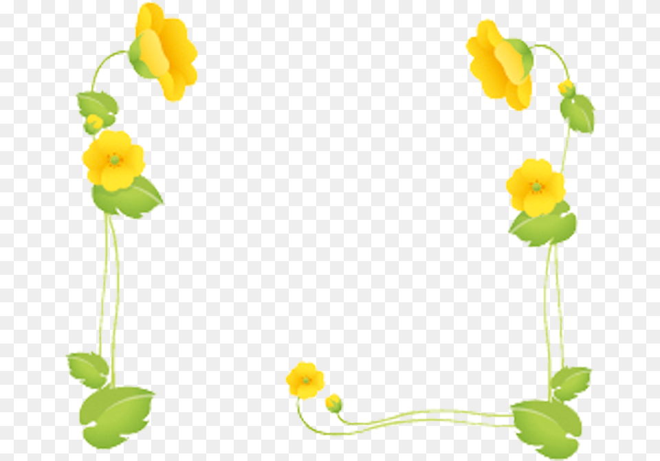 Flower Frames, Plant, Petal, Anemone, Daffodil Free Transparent Png