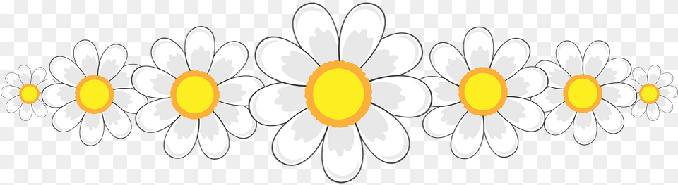 Flower Framework Flowers Spring Marguerite White Circle, Daisy, Plant, Anemone Png