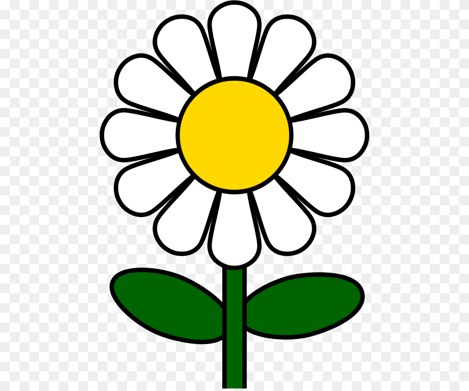 Flower Stock Clipart, Daisy, Plant Free Transparent Png