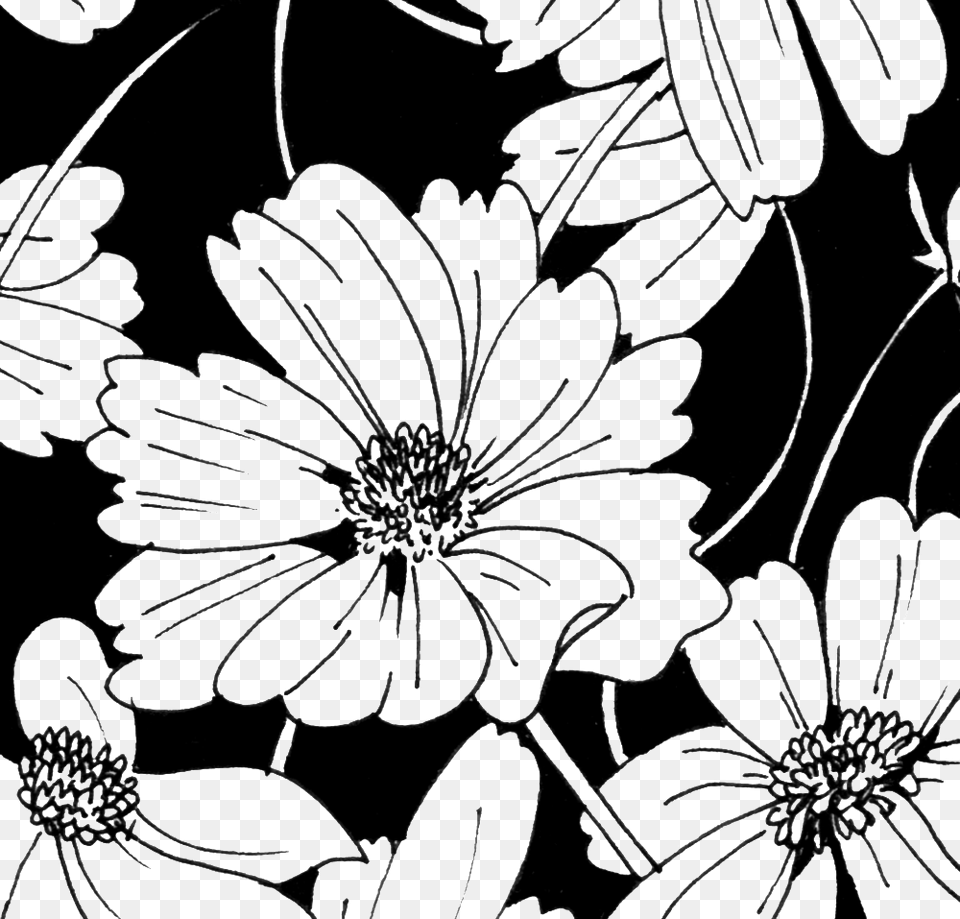 Flower Garden, Art, Floral Design, Graphics, Pattern Free Png Download