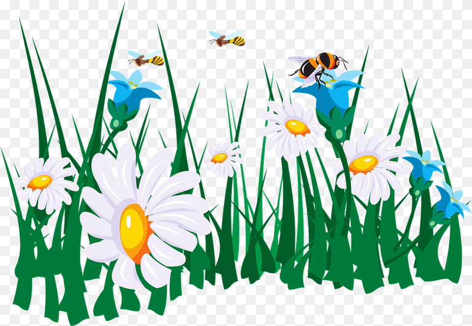 Flower Garden Cartoon 1 Image Bee And Flowers Clip Art, Daisy, Plant Png