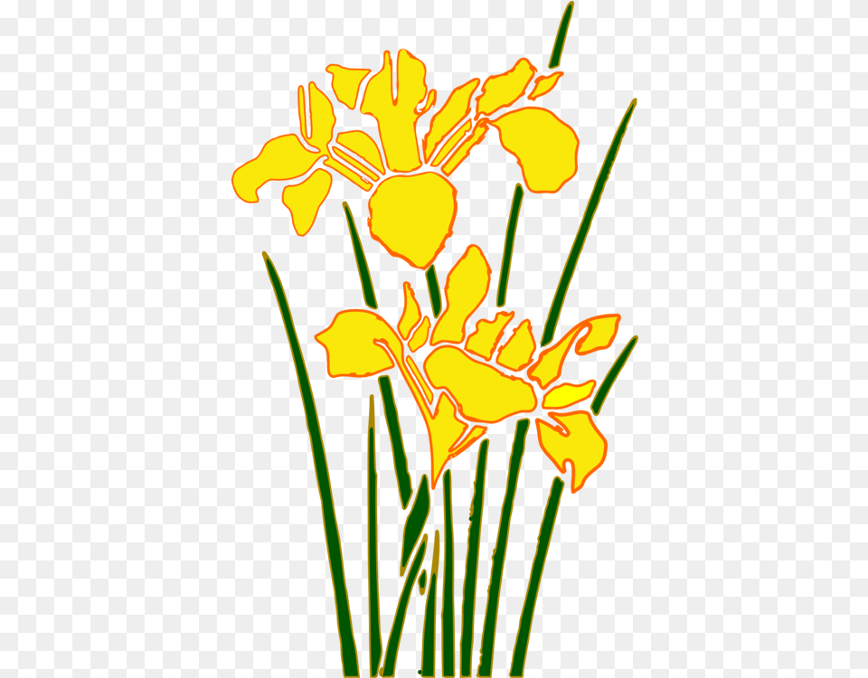 Flower Garden Cartoon Gambar Bunga Taman, Iris, Plant, Petal, Daffodil Free Png