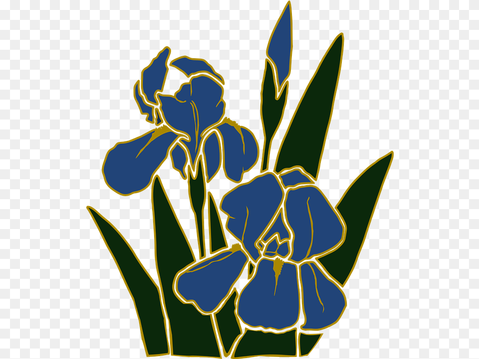 Flower Garden Iris Clip Art, Plant, Petal, Person Free Png
