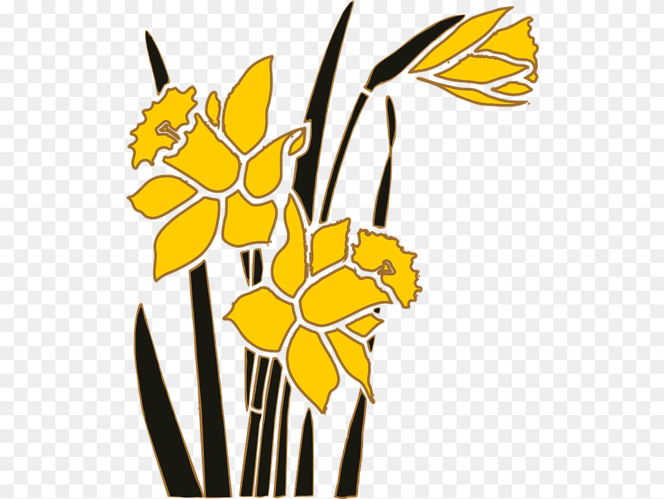 Flower Garden Narcissus Vector Graphic On Pixabay Narcissus Flower Art, Daffodil, Plant Free Png Download