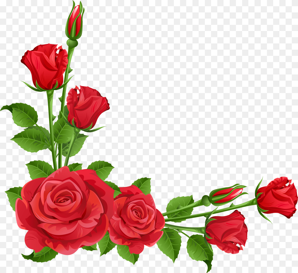 Flower Garden Perennial Plant Pixabay Border Rose Flower, Flower Arrangement Png Image