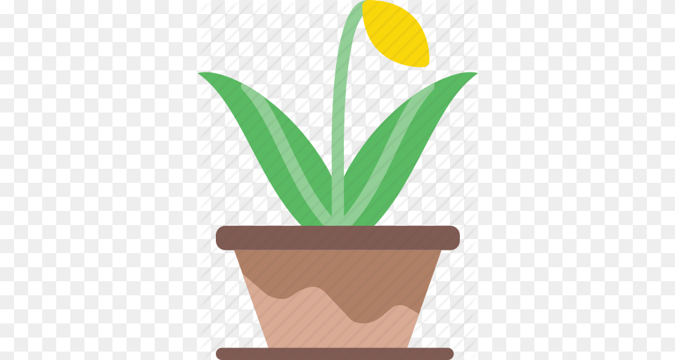 Flower Garden Plant Pot Soil Icon, Leaf, Potted Plant, Flower Arrangement, Ikebana Free Png Download
