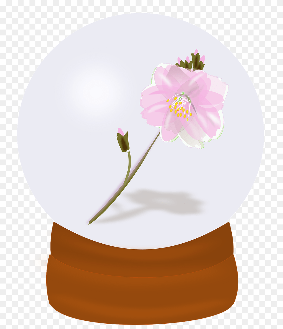 Flower Globe Clipart, Anther, Flower Arrangement, Plant, Geranium Free Transparent Png
