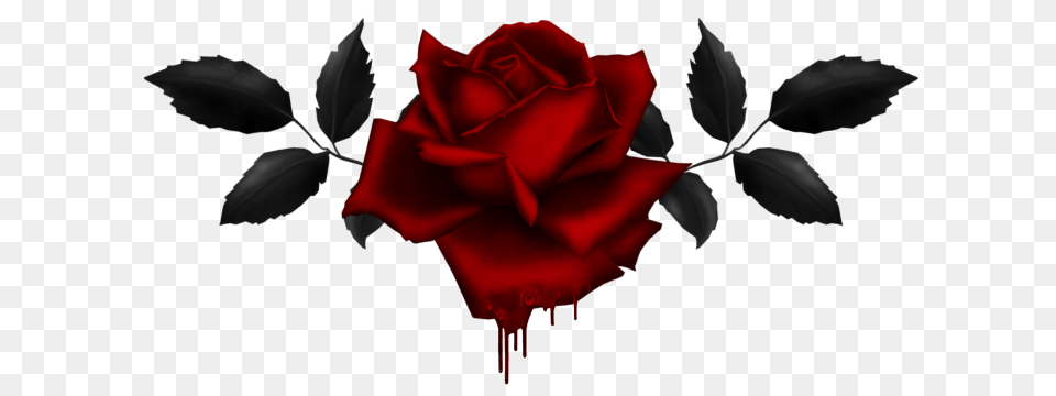 Flower Gothic Hd Rose, Plant Free Png Download