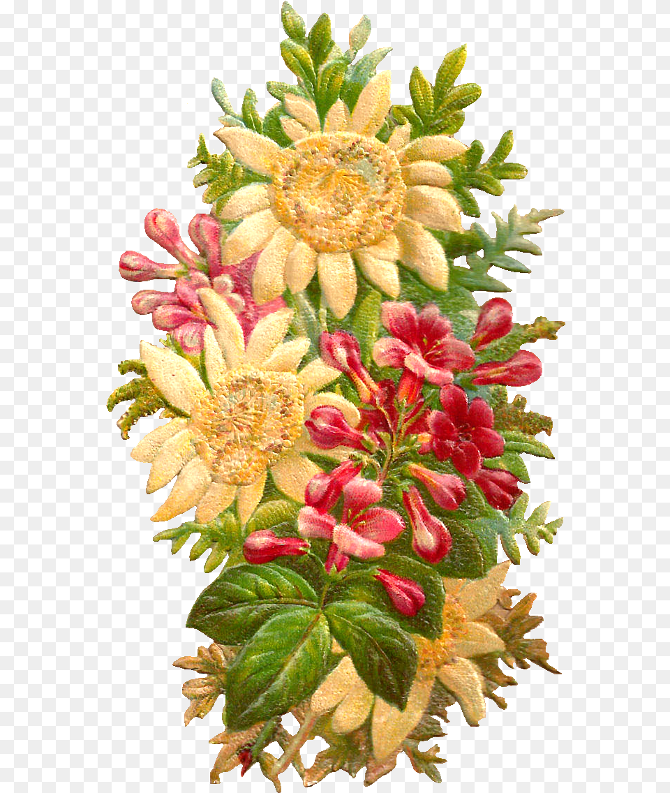 Flower Graphic This Is An Amazingly Pretty Digital Protea Family, Art, Pattern, Graphics, Flower Bouquet Png Image