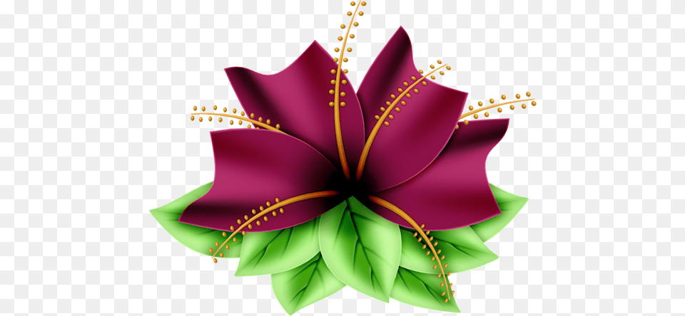 Flower Graphicflower Have A Wonderful Wednesday, Art, Plant, Pattern, Leaf Free Transparent Png