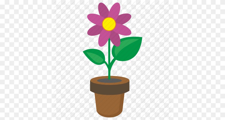 Flower Grow Plant Pot Icon, Daisy, Potted Plant, Petal, Leaf Png