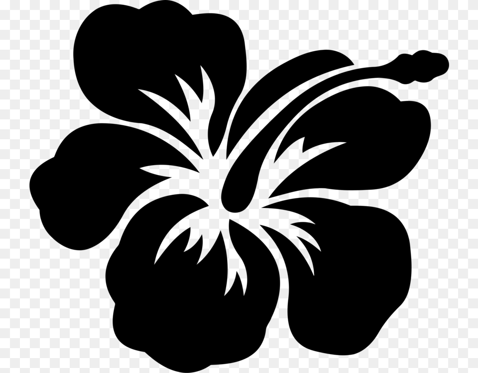 Flower Hawaiian Hibiscus Shoeblackplant Drawing Decal Rose Mallow Drawing, Gray Free Png Download