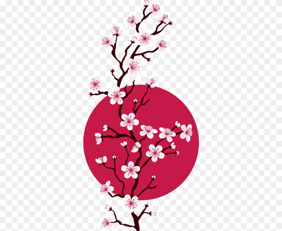 Flower Hd 1 Image Japanese Cherry Blossom Patterns, Plant, Cherry Blossom, Person Free Transparent Png