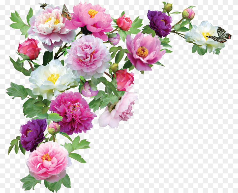 Flower Hd Transparent Hdpng Images Pluspng Transparent Background Flowers, Flower Arrangement, Flower Bouquet, Plant, Rose Png